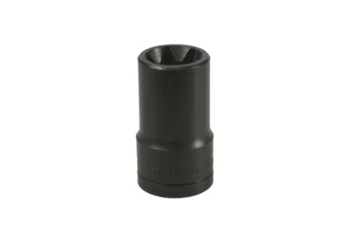 PRISE DE TORX E20