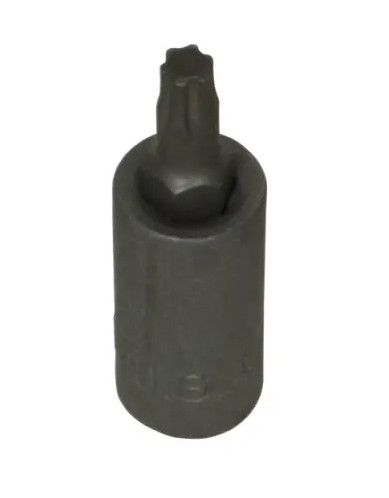 TP25 TORX PLUS BIT