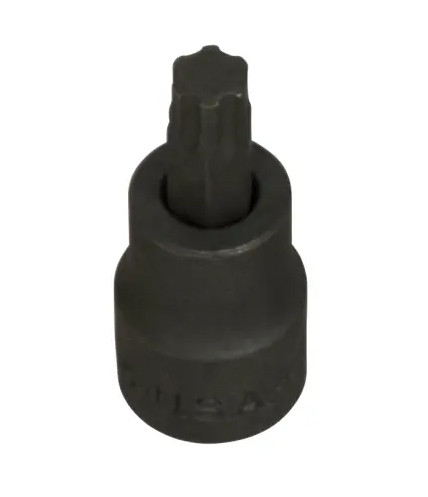 TP45 TORX PLUS BIT