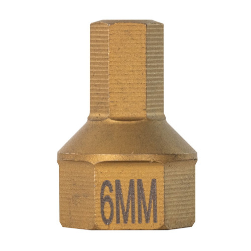 DUAL DRIVE-6 MM HEX BIT