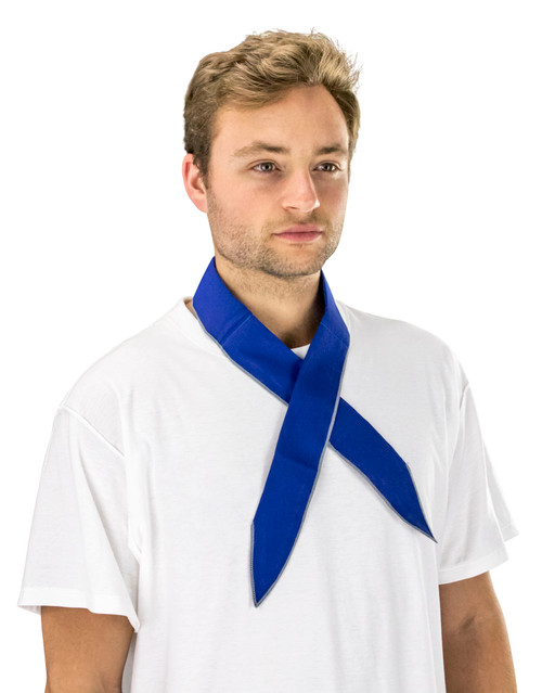 ThermaSure™ Cooling Neck Band/Strip - Blue Paisley - Retail