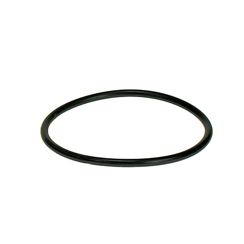 Fuel Tank Cap Gasket - 2000G