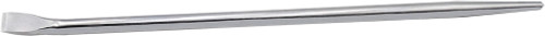 PG194 - PIED-DE-LEVIER ALIGNANT 42"