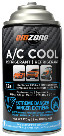 PG16 - EMZONE 12A A/C RÉFRIGÉRANT FROID, 170 G, BOÎTE DE 12