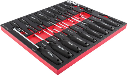 PG165 - PHILLIPS® 20-PIÈCES, FENTE ET TOURNEVIS MAGNÉTIQUE TORX DANS UN PLATEAU EN MOUSSE EVA AVEC FENTES IDENTIFIÉES