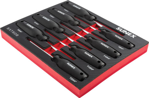 PG179 - ENSEMBLE DE TOURNEVIS MAGNÉTIQUE TORX DE 8 PIÈCES DANS UN PLATEAU EN MOUSSE EVA AVEC FENTES ÉTIQUETÉES