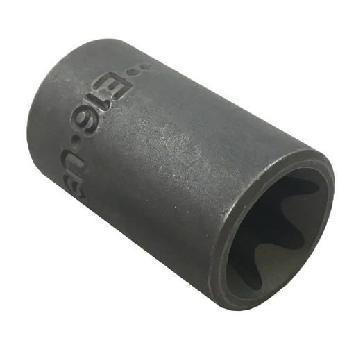 Torx Socket - E16