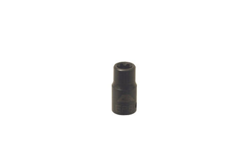 Torx Plus Socket - EP8