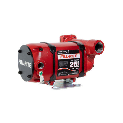 240V PUMP; BSP; FOOT