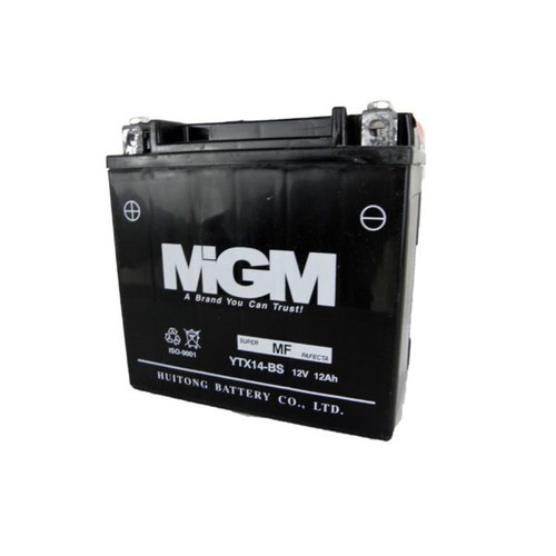 Batterie 12V DC (pour #9101, #9102, #9004A, #9005A et #9007A)
