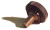 REPL THUMB SCREW MS-1