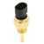 Engine Coolant Temperature Sensor - 1TS1035 - Formerly STA-74169
