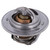 Engine Coolant Thermostat - 202-198