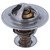 Engine Coolant Thermostat - 2028-195