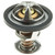 Engine Coolant Thermostat - 2043-195