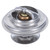Engine Coolant Thermostat - 248-160