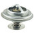 Thermostat de liquide de refroidissement moteur - 249-192