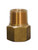ADAPTER, EXT, 3/8", NPT, BRASS