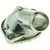 Boîtier du thermostat du liquide de refroidissement moteur - CH6018