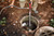 PG233 - POMPE À BAGUETTE DE TRANSFERT D’EAU M12™ (OUTIL NU), 9 GPM, CANON SUBMERSIBLE EN ALUMINIUM DE 36 », SORTIE DE 3/4 »