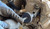 PG386 - DIESEL INJECTOR PULLER KIT, HANDLES A VARIETY OF INJECTORS FOUND IN CUMMINS AND DURAMAX ENGINES