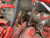 PG371 - CUMMINS 15MM TURBO BYPASS WRENCH, WORKS WITH CUMMINS 5.9, 8.9 & X15