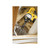 1" PHILLIPS REDUCD #2 IMPCT RDY 2PK
