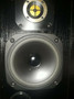 Fostex H-1 RP-2 Way Speaker System (Brand New!)