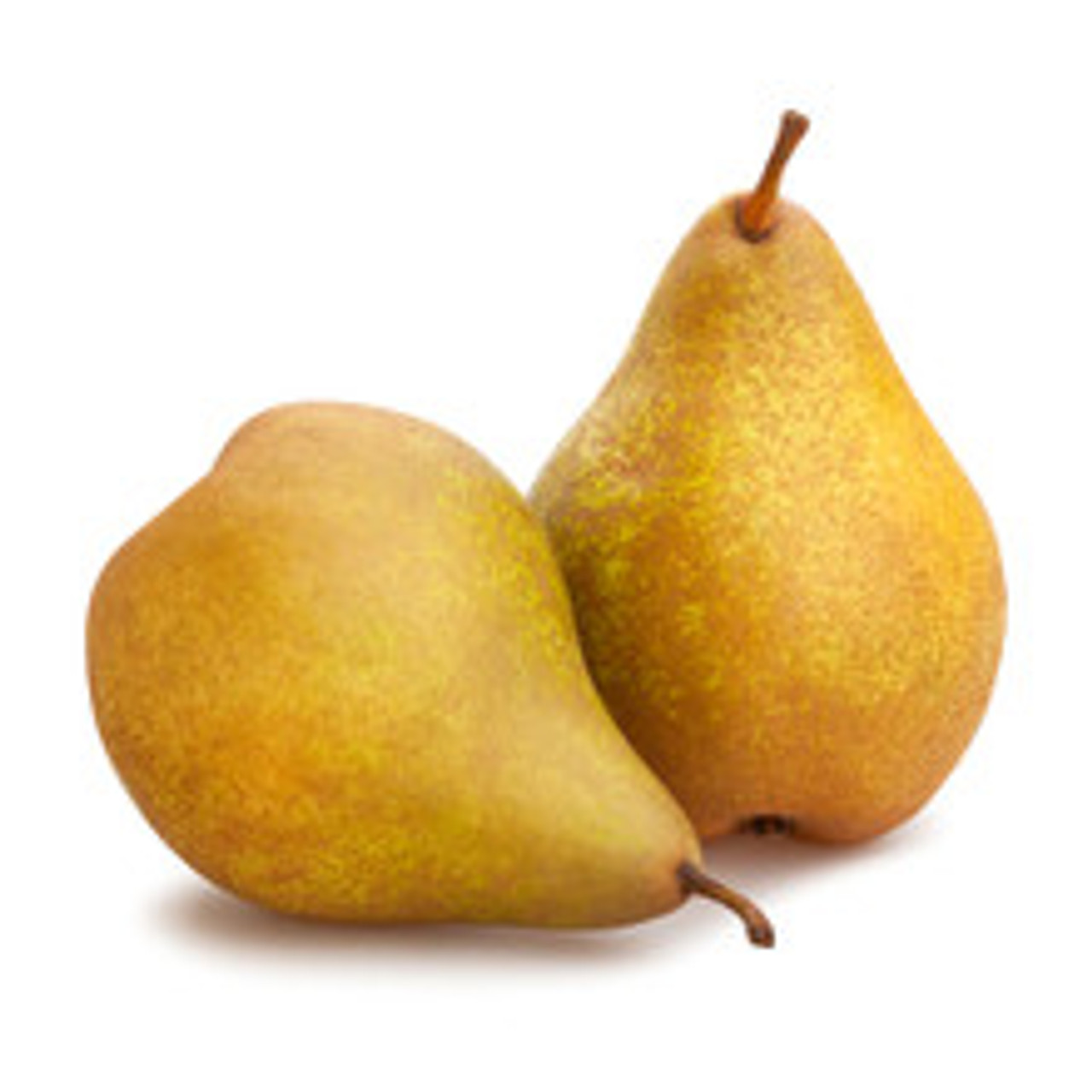 Bosc Pear] Bosc Pears