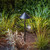 Springfield LED Path Light