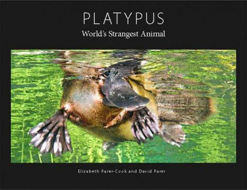 Platypus: World's Strangest Animal [B0799]