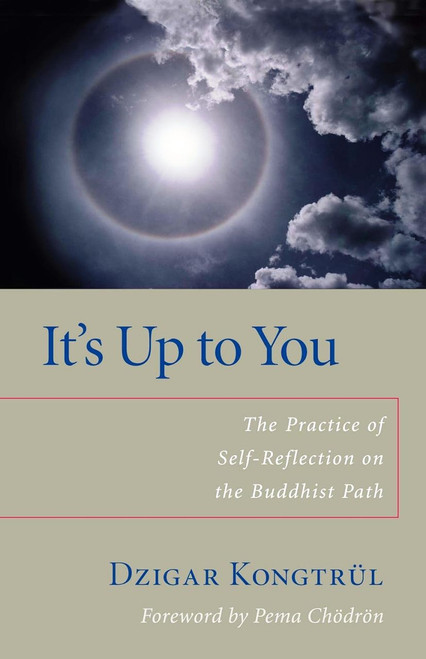 It's Up to You: The Practice of Self-reflection on the Buddhist Path [J0185]