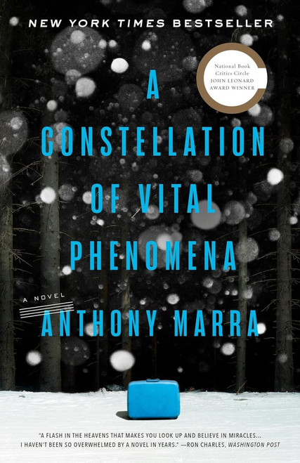 A Constellation of Vital Phenomena: A Novel [B2032]
