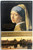 Girl with a Pearl Earring: A Novel [J0039]