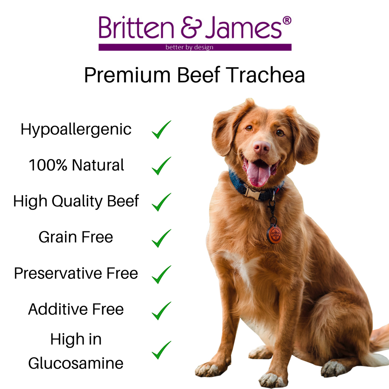 are tracheas good for dogs