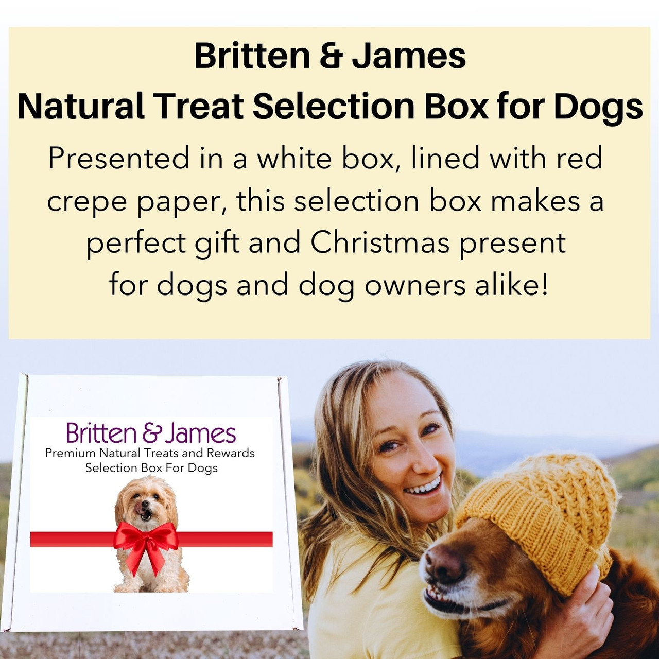 Premium Natural Treats & Rewards Selection Box for Dogs