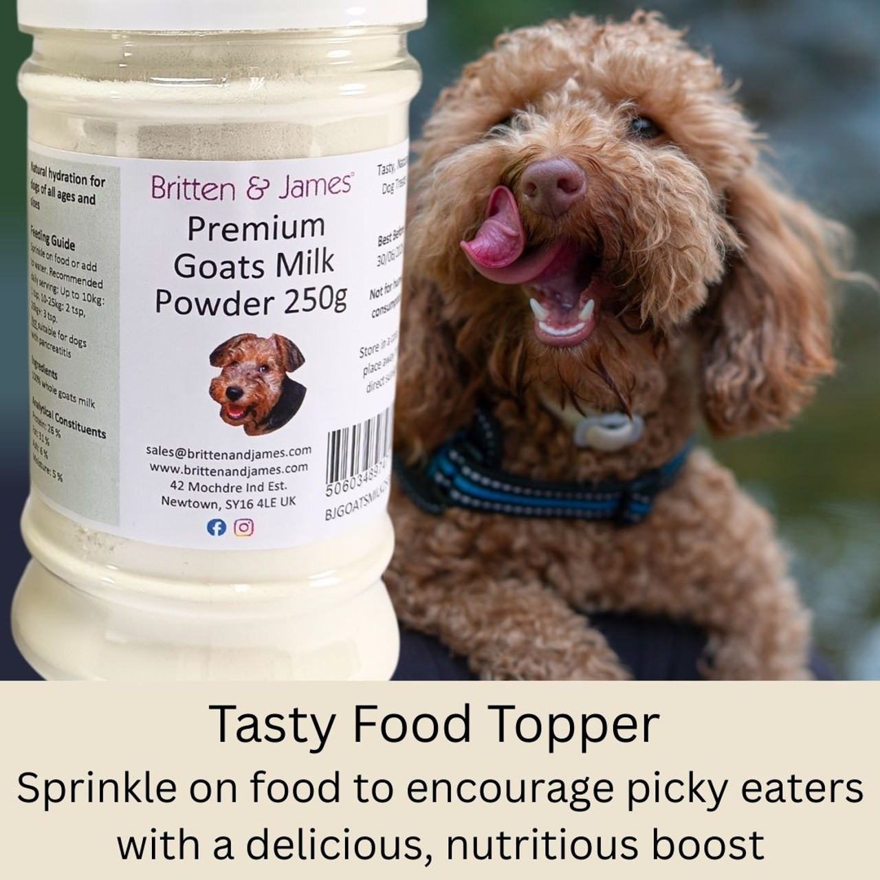 Drinking Milk Whole Milk For Dogs Drinking Milk Whole Milk For