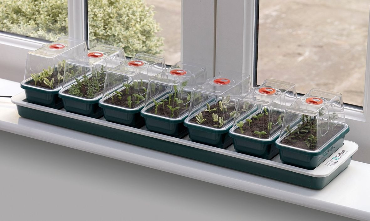Heated Windowsill Propagator Set with 7 Mini Seed Tray High Dome
