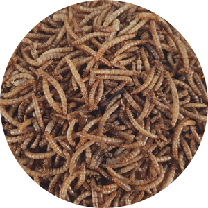 Dried Mealworms for Birds 2L Tub Dried Mealworms for Birds 2L Tub