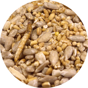 Robin and Songbird Wild Bird Seed Mix, containing sunflower hearts, pinhead oatmeal, peanut granules, millet, dried mealworms and vegetable oil to be a good source of energy for British songbirds