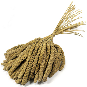 Britten and James Premium quality millet, large sprays for birds Britten and James Premium quality millet, large sprays for birds
