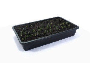10 Professional Seed Trays with Holes Black 10 Professional Seed Trays with Holes Black