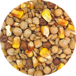 A tasty and nutritious food for pigeons, packed full of natural ingredients A tasty and nutritious food for pigeons, packed full of natural ingredients