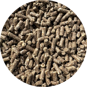 Britten & James Premium 3mm Bloodworm Sinking Pellets Britten & James Premium 3mm Bloodworm Sinking Pellets
