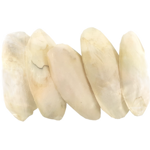 5 cuttlefish bone pieces 5 cuttlefish bone pieces