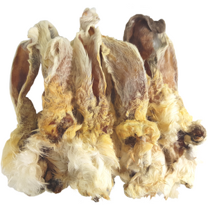 Rabbit ear snacks for dogs Rabbit ear snacks for dogs