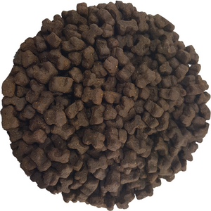 Skin & Coat Supplement Treats for Cats & Dogs 1kg Skin & Coat Supplement Treats for Cats & Dogs 1kg