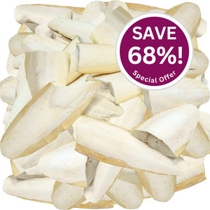 A selection of creamy coloured cuttlefish pieces, which are a great treat, calcium boost and beak trimmer for birds, turtles, tortoises, terrapins, snails and squirrels! To the top right is a purple circle with white text saying 'Save 68%!'.