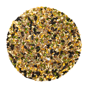 A photograph of our Britten & James Premium Poultry Boost mix close-up; a blend of split maize, wheat, peas, sunflower hearts, red dari, black sunflower, oyster shell grit, flint grit and oil.