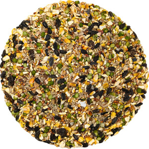 A photograph of our Britten & James Premium Poultry Boost mix close-up; a blend of split maize, wheat, peas, sunflower hearts, red dari, black sunflower, oyster shell grit, flint grit and oil.